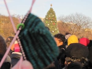 sockattreelighting