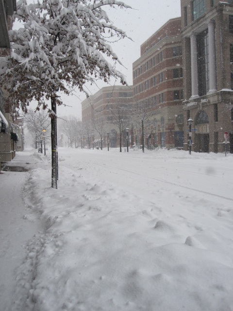IMG_0297