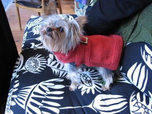 IMG_0347 IMG_0347