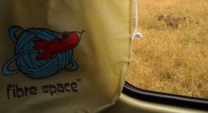 Fibre Space with Cheetah