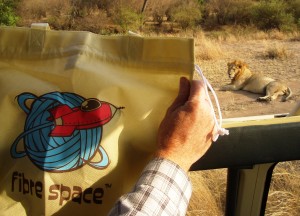 Fibre Space with Lion