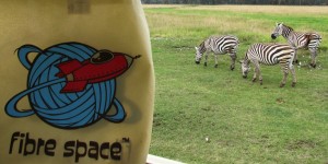 Fibre Space with Zebra's