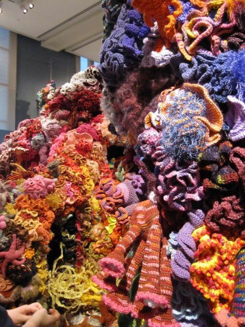 coralreef