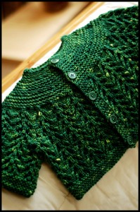 February Baby Sweater
