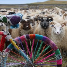 Knitting the Icelandic Way with Raggawest!