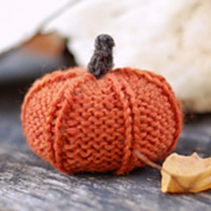 Jack Be Little Pumpkin - Elizabeth Murphy